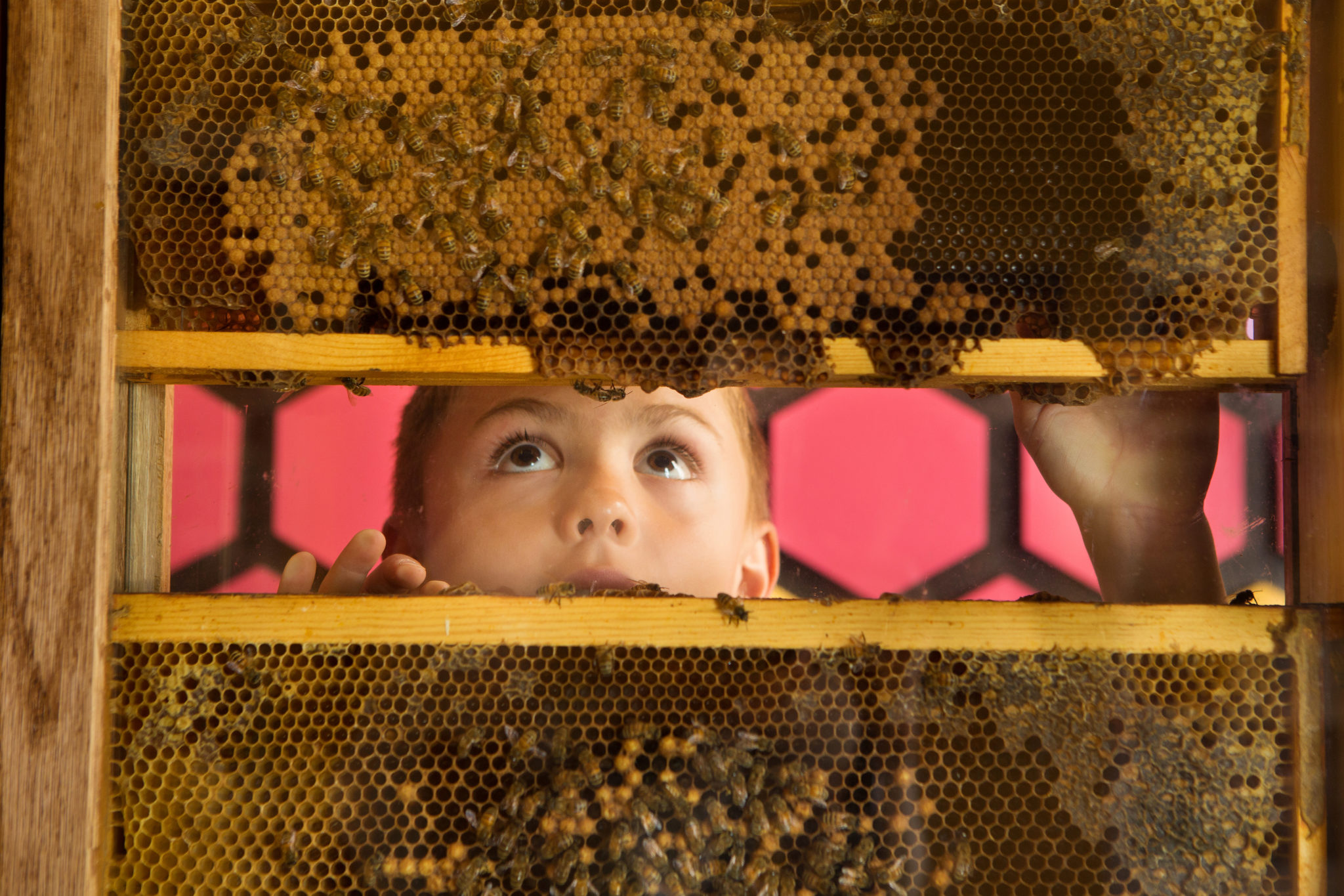 Children's Museum of Sonoma County in Santa Rosa, CA